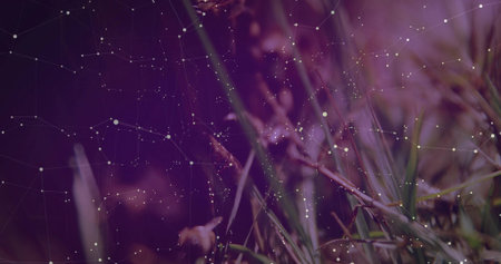 Showing grass blades with seed heads swaying in meadow, with white dots network overlay, copy space....