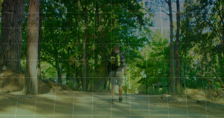 Walking adult hiker using trekking poles and hiking shoes on pine forest trail, with backpack. Nature, adventure, wilderness, exploration, serenity, woodland, trekkingの写真素材