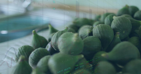 Showing cluster of green figs resting on cloth beside tray on countertop, with faint digital graphs. Fresh produce, healthy eating, market display, rustic, natural, organic, wellnessの写真素材