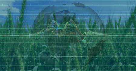 Displaying green grain stalks swaying in field, with grid lines, colored line graphs and globe icon....