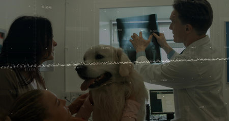 Veterinarian holding X-ray against light box in exam room with daughter petting golden retriever....