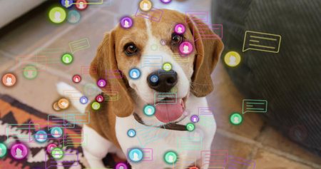 Sitting beagle dog wearing collar in living room beside dark couch, with chat bubbles, avatar icons. Canine, pet, digital, augmented reality, modern, comfort, technologyの写真素材
