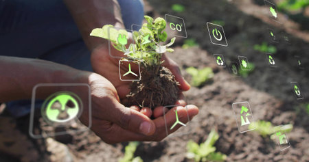 Cradling gardener hands nurturing seedling in outdoor garden bed, with digital environmental icons. Sustainability, eco-friendly, horticulture, renewable, growth, conservation, digital agricultureの写真素材