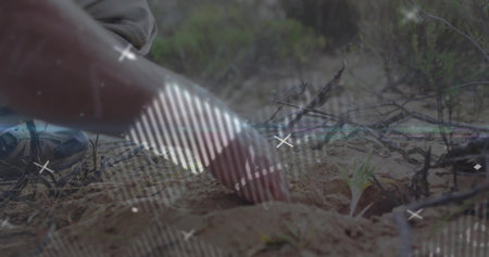 Digging bare hand probing dry sandy soil beside scattered twigs in arid scrubland, with seedling....