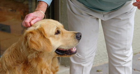 Bending senior woman gently stroking golden retriever head on stone porch near glass sliding door. Pets, companionship, outdoor, lifestyle, comfort, natural, warmthの写真素材