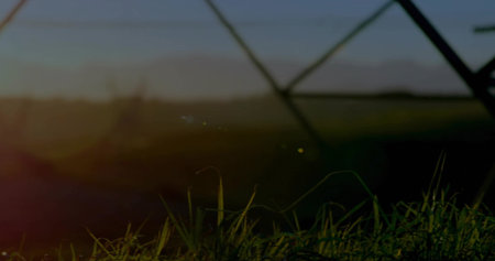 Swaying cluster of grass blades rippling in rural pasture, with metal lattice fence silhouettes. Nature, rural, landscape, silhouette, serenity, warmth, greeneryの写真素材