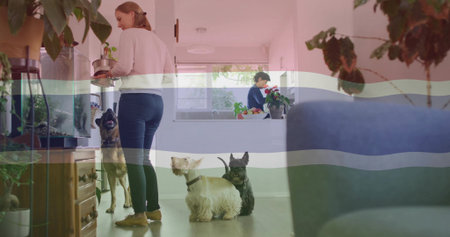 Holding potted plant, mid adult woman standing near aquarium in open-plan kitchen, with three dogs. Contemporary, botanical, cozy, domestic, lifestyle, natural, designの写真素材