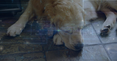 Reclining golden dog on tile floor indoors, with digital panels, code overlays and light nodes. Futuristic, technology, pet, interior, sleek, innovative, tranquilityの写真素材