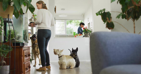 Holding potted plant, woman wearing sweater standing by fish tank in modern home with small dogs. Interior, greenery, domestic, lifestyle, minimalism, companionship, contemporaryの写真素材