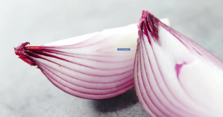 Showcasing close-up of two red onion halves on kitchen countertop, showing vibrant purple rings. Vegetables, culinary, food styling, detailed, vibrant, natural, freshnessの写真素材