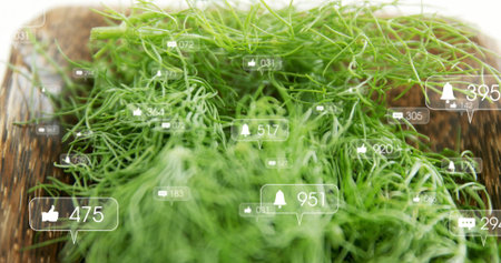 Showing fresh green herb sprigs on dark wooden board, with floating social media icons. Herbs, digital, engagement, nature, modern, marketing, organicの写真素材