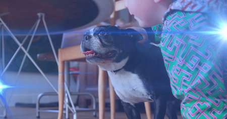 Boy wearing green geometric top kneeling on floor in dining area, petting black-and-white dog. Playful, companionship, cozy, family, home, cheerful, innocenceの写真素材