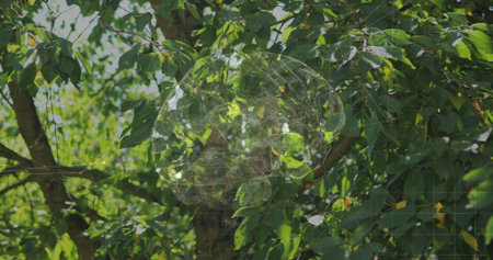 Displaying digital brain network glowing over tree trunk, green foliage in forest with grid overlay....