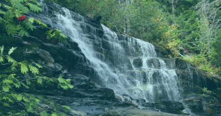 Flowing waterfall tumbling over layered rock ledges in forest stream, with moss and red berries. Nature, wilderness, serenity, lush, landscape, tranquility, forestの写真素材