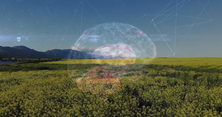 3D brain graphic sending glowing neural network lines across yellow flowering field, mountain ridge. Futuristic, innovation, technology, connectivity, growth, organic, scenicの写真素材