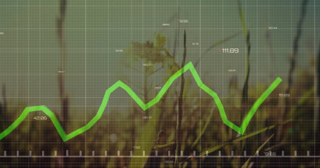 Presenting green jagged line graph showing fluctuations over sunlit grass with grid and axis labels. Analytics, data visualization, financial, technology, growth, charting, digitalの写真素材