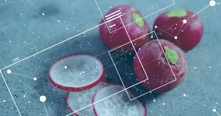 Displaying whole and sliced red radishes lying on gray-blue countertop with white geometric overlay. Vegetables, culinary, minimalist, modern, health, freshness, organicの写真素材