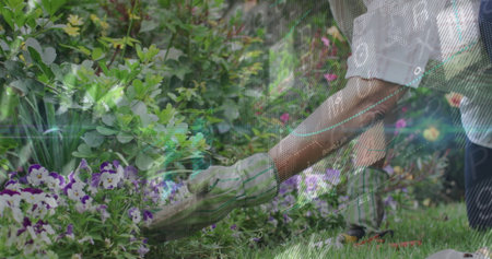 Kneeling woman in gardening gloves tending plants in garden, with purple white blooms, copy space....