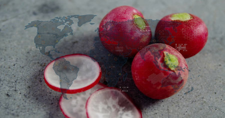 Displaying cluster of red radishes, sliced pieces on grey stone surface, digital world map overlay....
