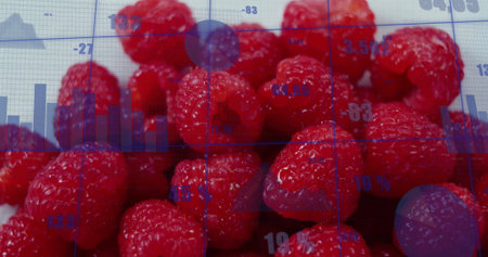 Displaying raspberries blending with translucent data overlay in digital composite, with bar charts. Fruit, data, visualization, culinary, analytics, digital, healthの写真素材