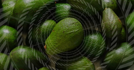 Cluster of whole avocados filling close-up view, showing translucent concentric striped overlay....