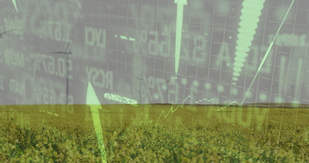 Displaying yellow flowering crop field, with semi-transparent grid and financial chart overlay. Agriculture, finance, data visualization, rural landscape, market analysis, investment, growthの写真素材