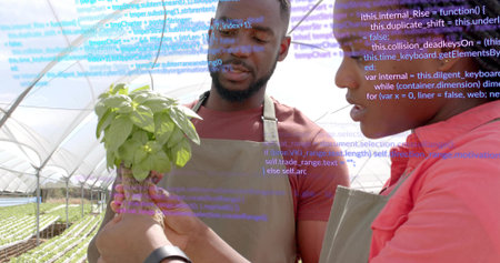 Coworkers in aprons inside greenhouse, examining basil seedling roots and trays. Horticulture,...