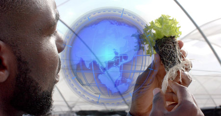 Researcher in jacket examining lettuce seedling with root ball inside greenhouse, holographic globe....