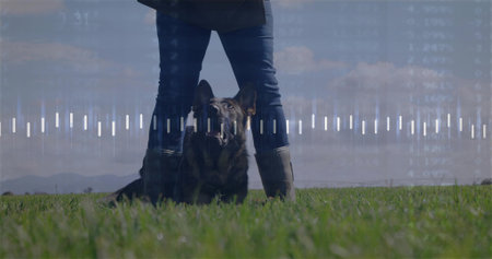Standing dog handler wearing green rubber boots beside dog in field. Nature, outdoor, rustic,...