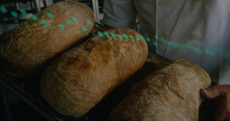 Baker wearing white coat holding perforated tray loaded with three crusty loaves in bakery kitchen. Artisan, culinary, rustic, handcrafted, breadmaking, commercial, traditionalの写真素材
