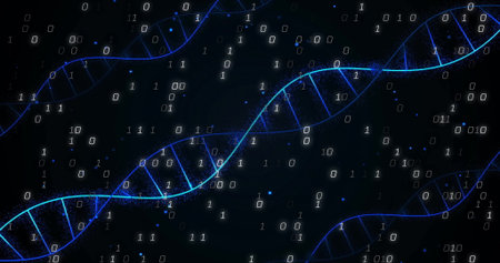 Twisting glowing blue DNA double helix strands floating in digital space, with binary digits. Biotechnology, digital, futuristic, innovation, science, data visualization, technologyの写真素材