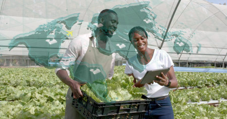 Two farm workers monitoring lettuce trays in greenhouse, holding crate and tablet with map overlay....