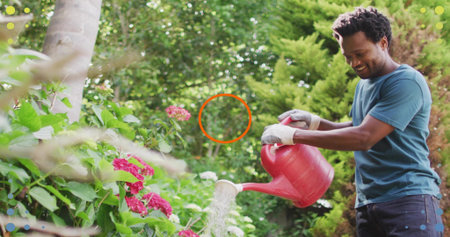 Pouring water on hydrangeas man in grey gloves holding red watering can in backyard, copy space....
