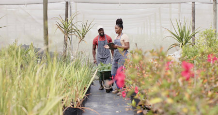 Pushing wheelbarrow and using tablet, greenhouse workers wearing striped aprons amid potted foliage. Horticulture, teamwork, sustainability, landscape, botanical, eco-friendly, professionalの写真素材