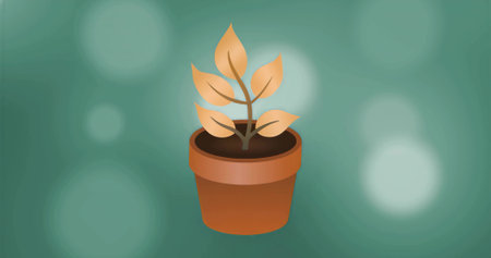 Featuring plant with yellow leaves growing in dark soil in teal-green backdrop with terracotta pot. Botanical, growth, nature, gardening, eco, minimalism, serenityの写真素材