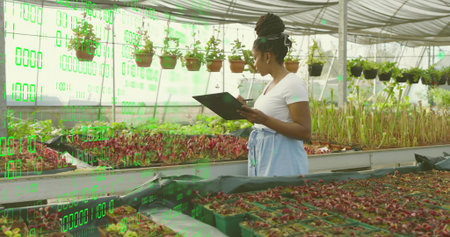 Inspecting woman tapping stylus on tablet in greenhouse, with trays and hanging pots, copy space....