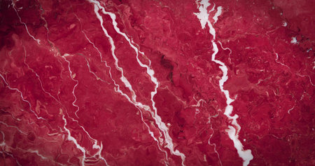 Revealing meandering river channels carving red-toned vegetation from satellite, with tributaries. Aerial, landscape, terrain, vegetation, waterways, topography, satelliteの写真素材