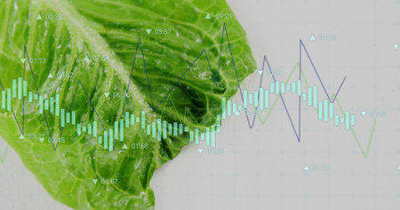 Displaying lettuce leaf showing droplets in studio with overlaying candlestick bars and line graphs. Nature, finance, visualization, macro, technology, data, organicの写真素材