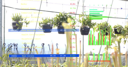 Displaying row of black hanging plant pots and seedlings in greenhouse. Glasshouse, nursery, foliage, planters, suspended, cables, doubleexposureの写真素材