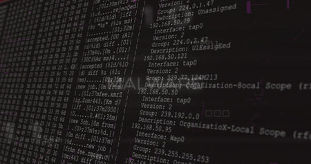 Displaying monitor showing monospaced terminal logs on workstation, listing IPs and column divider. Network, configuration, telemetry, data, console, screen, hexの写真素材