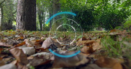 Floating hazy AR overlay hovering above leafy forest floor in woodland with leaves and twigs. Hud, concentric, rings, cyan, white, digital, textureの写真素材