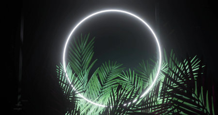 Glowing white neon ring hovering in dim gallery, lighting green palm fronds with haze. Circle, glow, moody, minimalist, highcontrast, studio, installationの写真素材