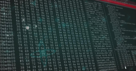 Displaying computer monitor presenting dense hex dump in terminal window with ASCII column, red bar....