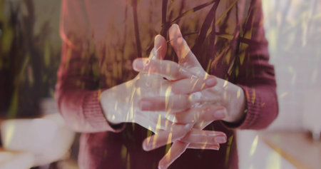 Pressing woman's linked fingers together in living room, showing maroon sweater and grass overlay. Hands, palms, interlaced, torso, knit, reeds, doubleの写真素材