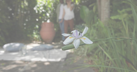 Framing iris blooming in backyard with clay pot, mat and pillows, blurred casual couple, copy space. Flower, garden, outdoor, macro, serenity, sunlight, dappledの写真素材