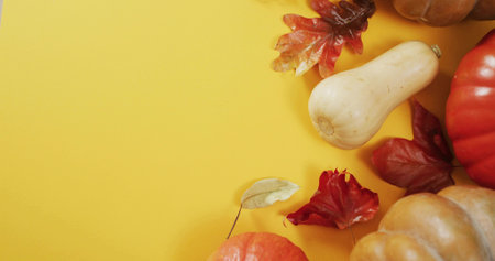 Displaying orange pumpkins, butternut squash and dried maple leaves on yellow surface, copy space. Gourd, harvest, produce, autumn, foliage, flatlay, minimalistの写真素材