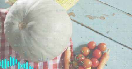 Showing large pale white pumpkin sitting on checked cloth at rustic tabletop with blue data overlay. Gourd, produce, topdown, market, turquoise, grid, cornの写真素材