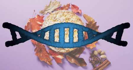 Displaying blue DNA helix overlaying rice cake on pastel purple surface, with spices and leaves. Flatlay, indigo, lavender, mauve, foliage, autumnal, cardamomの写真素材