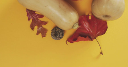 Displaying butternut squashes round squash red oak and maple leaves with pine cone on yellow table. Gourds, autumnal, stilllife, minimalist, flatlay, studio, foliageの写真素材