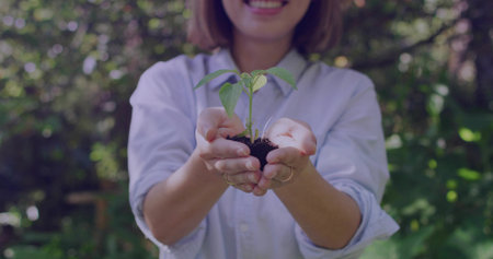Holding Chinese woman offering seedling in garden, cupped hands holding soil, pale shirt and rings. Sapling, growth, nurture, outdoor, nature, greenery, sunlightの写真素材